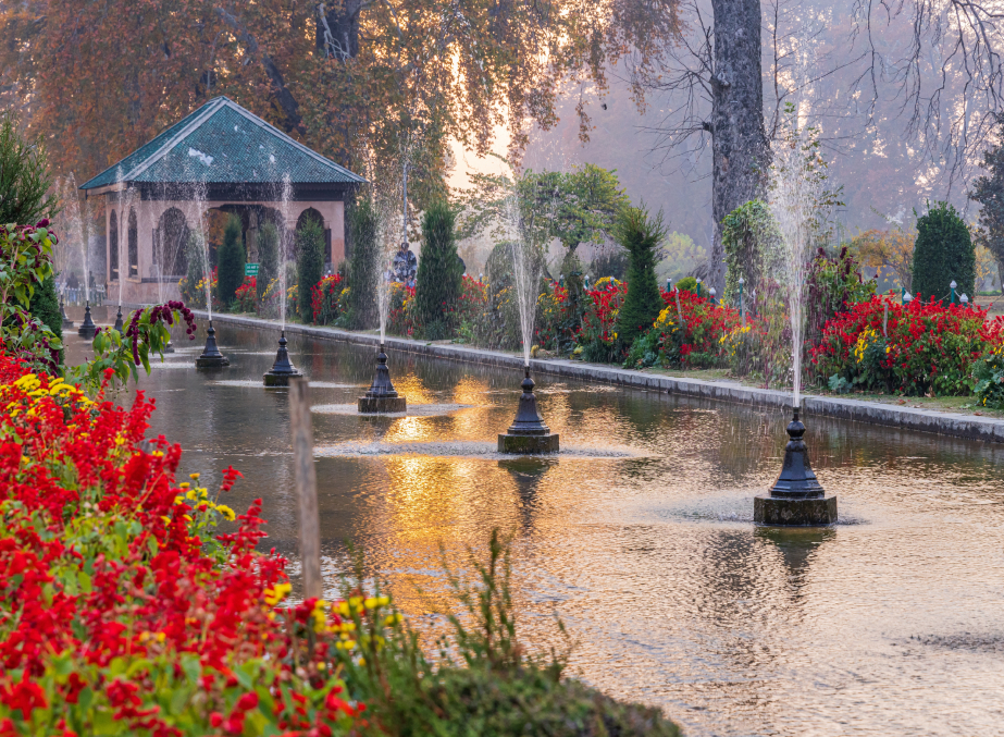 A walk in Mughal Gardens