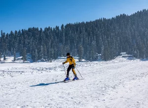 Skiing and Snowboarding