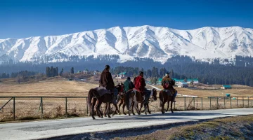 Kashmir Refreshing Tour